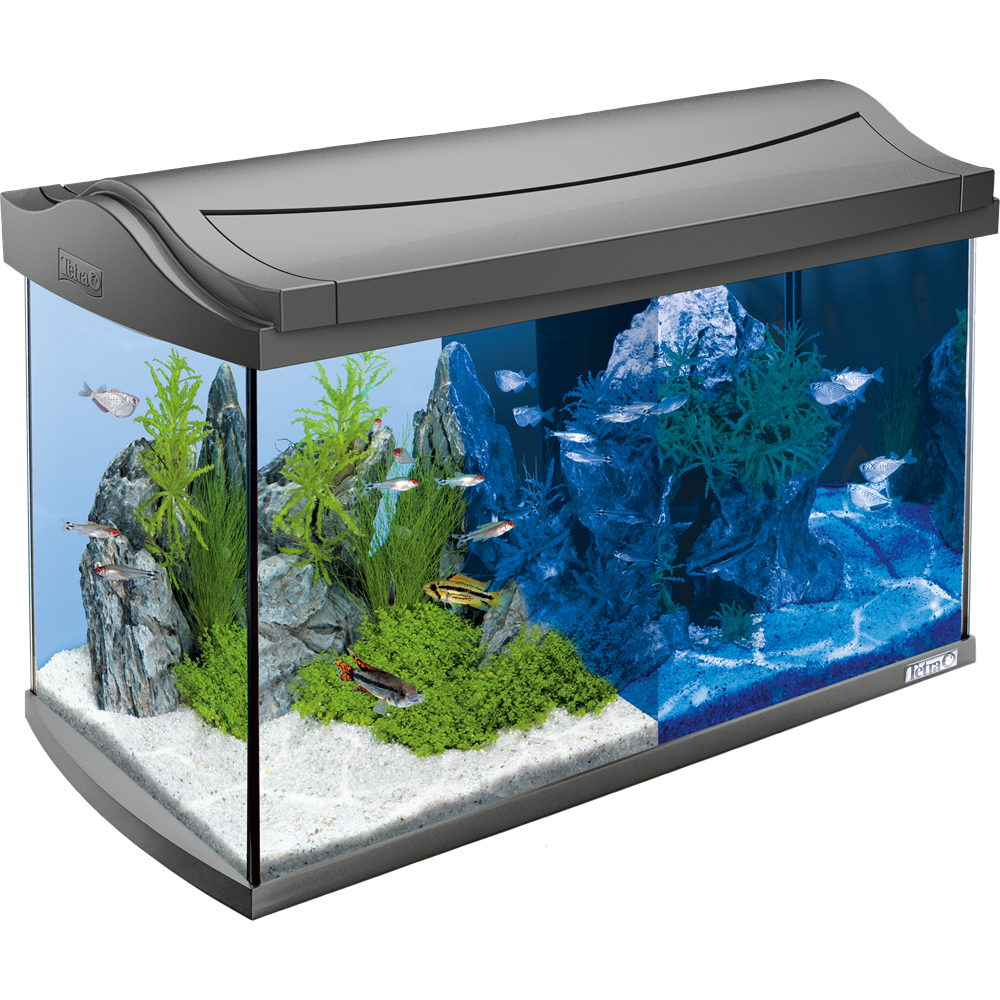Tetra AquaArt Discovery Line Aquarium Komplettset