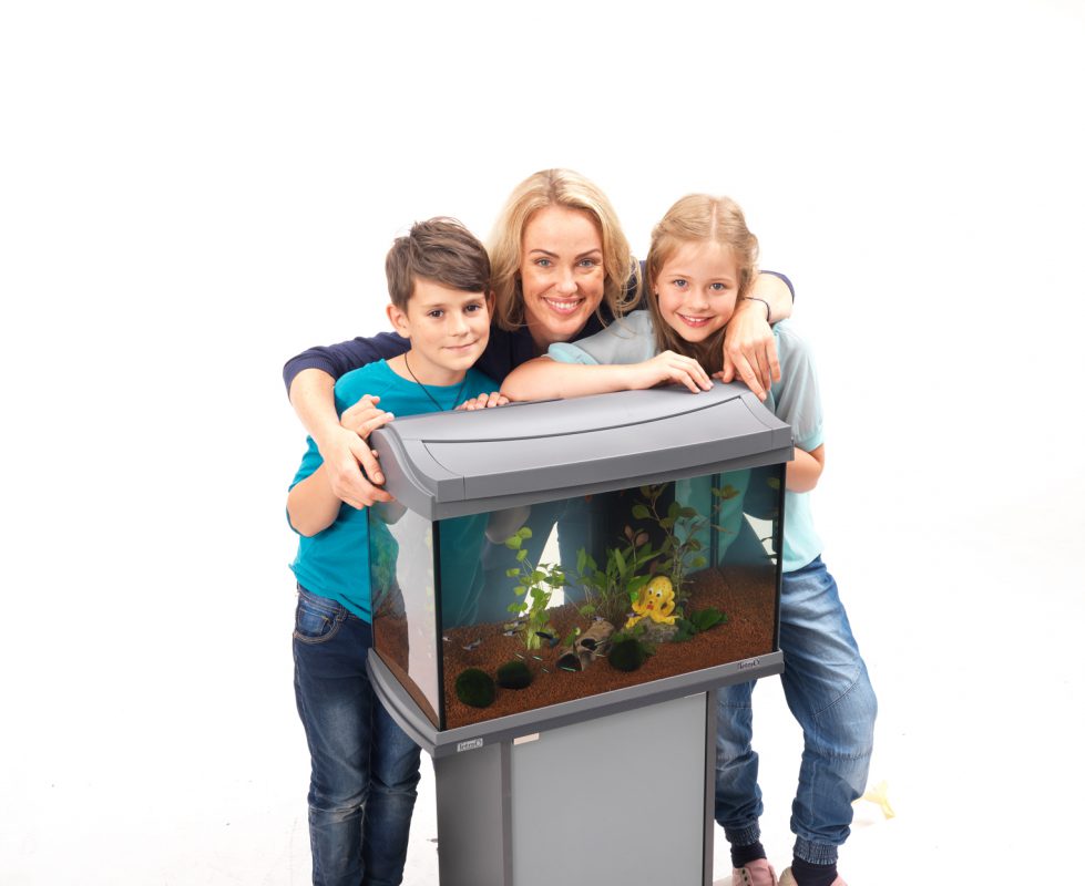 Aquarium einrichten Aquarium einrichten leicht gemacht Schritt für Schritt Anleitung Fische einsetzen