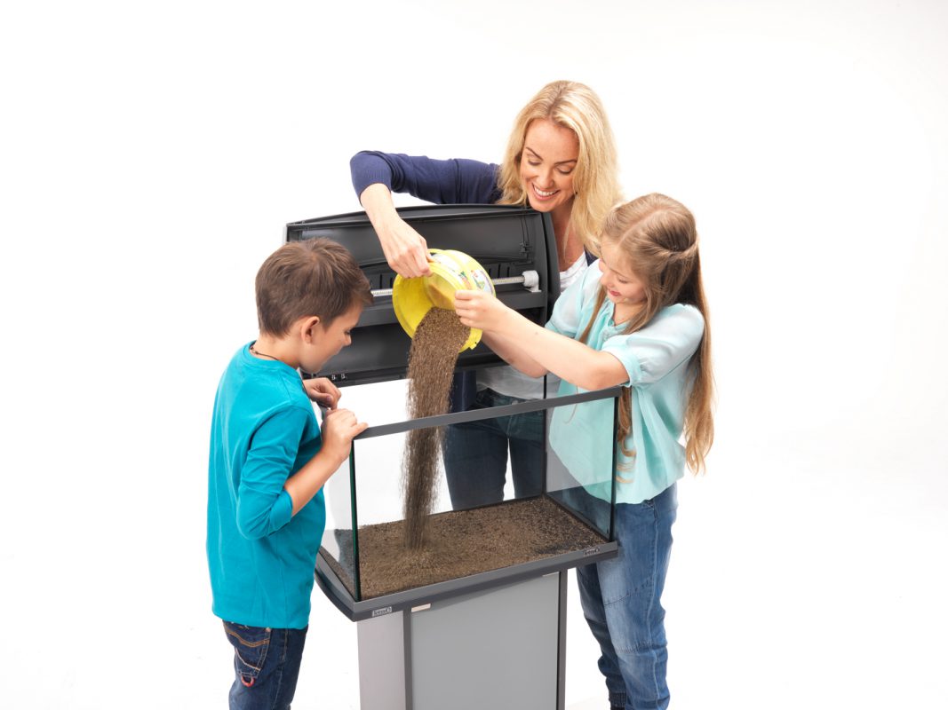 Aquarium einrichten Aquarium einrichten leicht gemacht Schritt für Schritt Anleitung Bodengrund