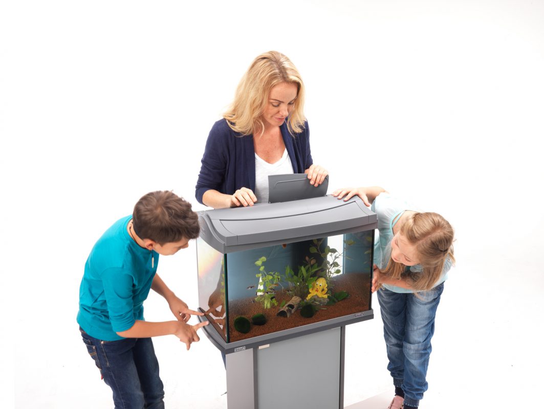 Aquarium einrichten Aquarium einrichten leicht gemacht Schritt für Schritt Anleitung Technik einschalten