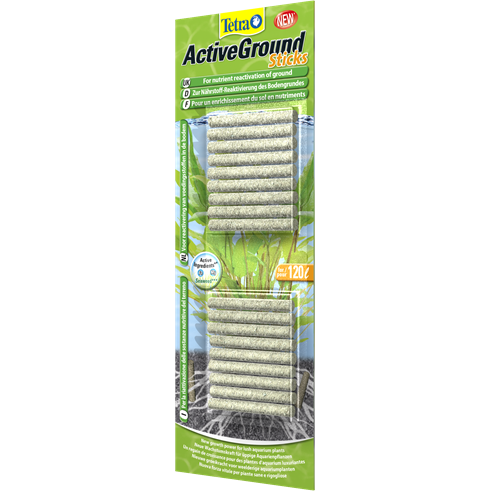 Aquarium Aquarienpflanzen
