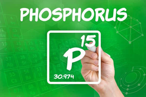 Dealing with phosphorus in your aquarium and pond