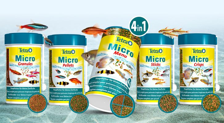 Tetra Micro food
