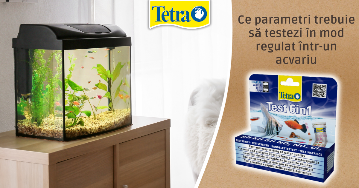 Ce parametri trebuie să testezi în mod regulat într-un acvariu