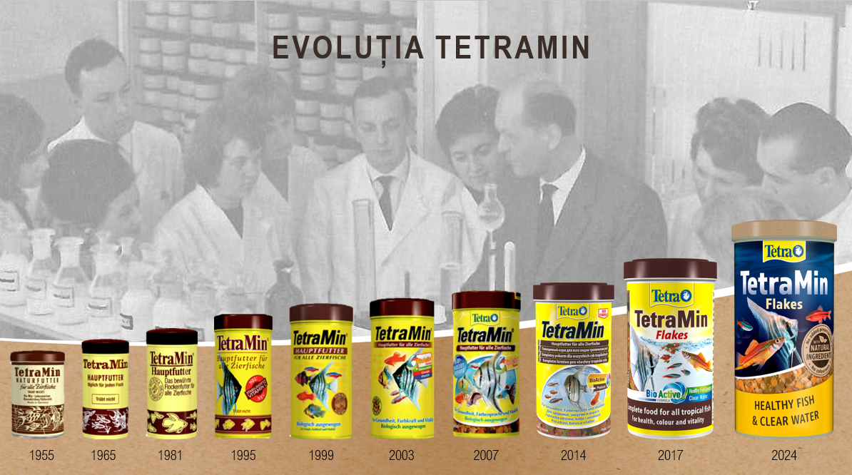 Evoluția TetraMin