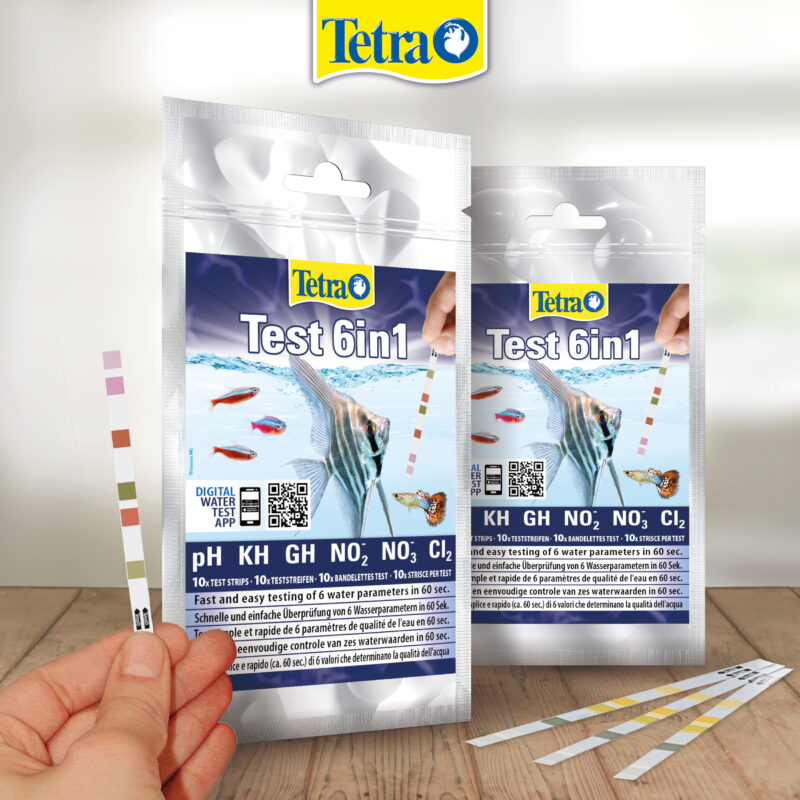 Benzi Testare Tetra 6in1