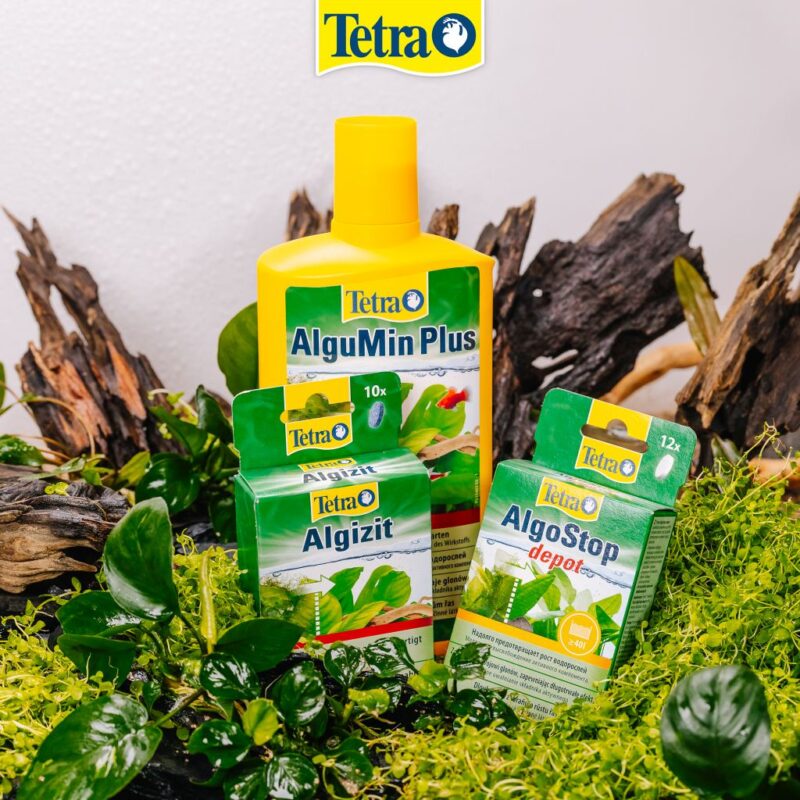 Controlul algelor cu ajutorul produselor Tetra
