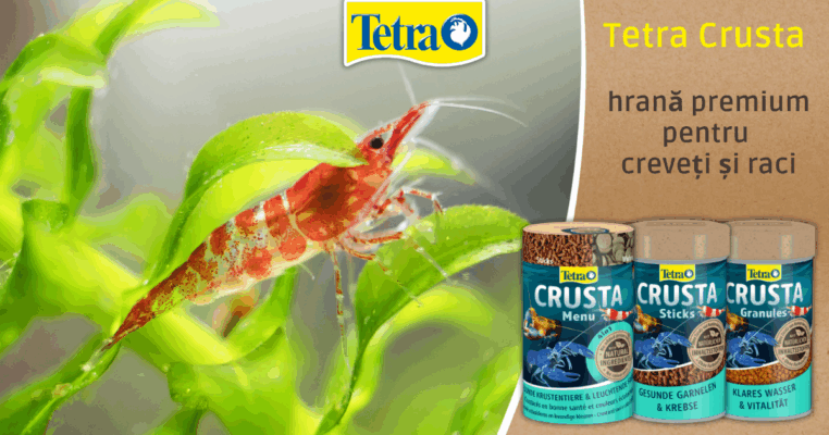 Tetra Crusta – hrană premium pentru creveți și raci
