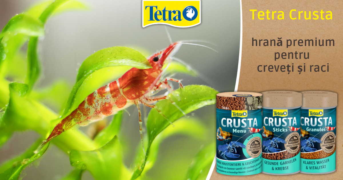 Tetra Crusta – hrană premium pentru creveți și raci