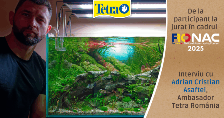 De la participant la jurat în cadrul RONAC 2025 - Interviu cu Adrian Cristian Asaftei, Ambasador Tetra România, aquascaper de top mondial, locul 28 mondial IAPLC