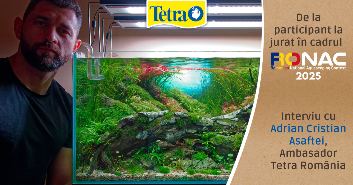 De la participant la jurat în cadrul RONAC 2025 - Interviu cu Adrian Cristian Asaftei, Ambasador Tetra România, aquascaper de top mondial, locul 28 mondial IAPLC