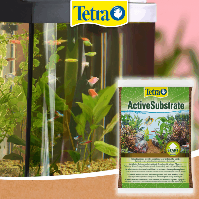 Tetra ActiveSubstrate Tetra ActiveSubstrate