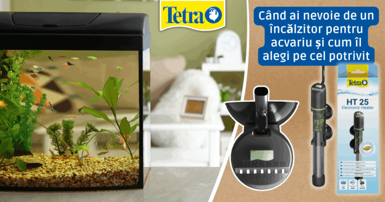 Când ai nevoie de un încălzitor pentru acvariu și cum îl alegi pe cel potrivit