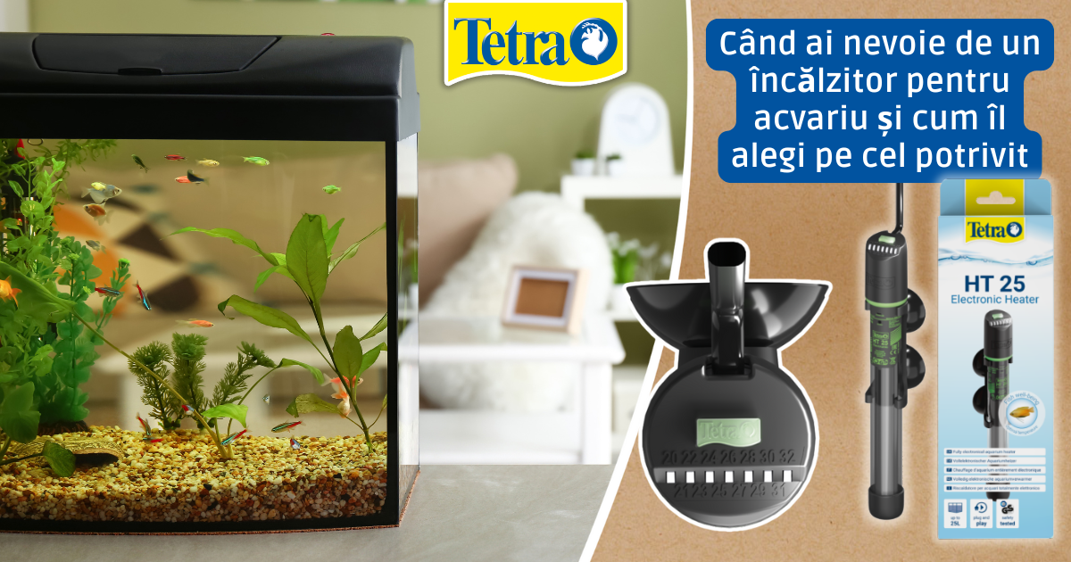 Când ai nevoie de un încălzitor pentru acvariu și cum îl alegi pe cel potrivit