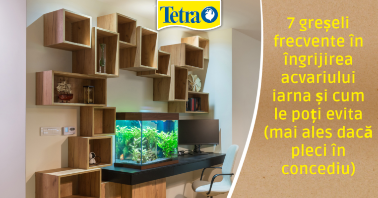 7 greșeli frecvente în îngrijirea acvariului iarna și cum le poți evita