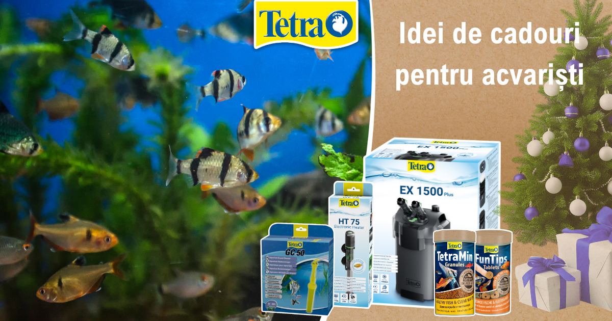 idei de cadouri pentru acvaristi