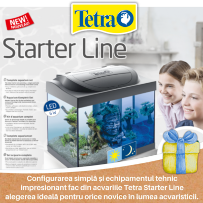 Idei de cadouri pentru acvariști – utile, frumoase și pe placul oricărui pasionat Idei de cadouri pentru acvariști – utile, frumoase și pe placul oricărui pasionat