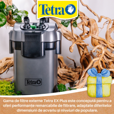 Idei de cadouri pentru acvariști – utile, frumoase și pe placul oricărui pasionat Idei de cadouri pentru acvariști – utile, frumoase și pe placul oricărui pasionat