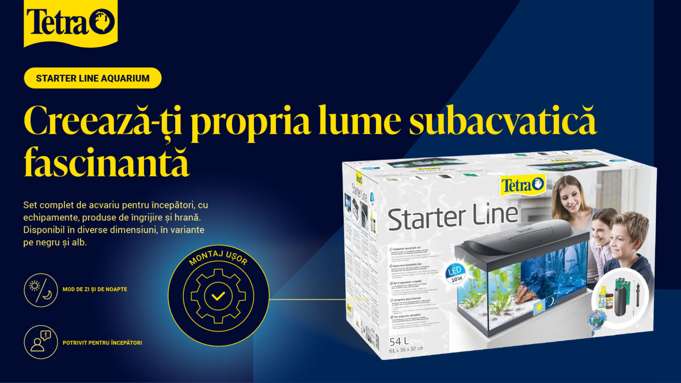 Primul tău acvariu: Tetra Starter Line Primul tău acvariu: Tetra Starter Line