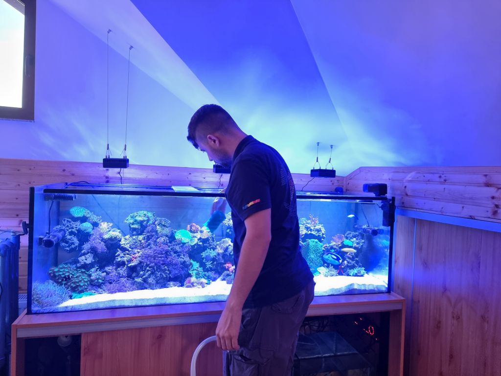 ”Drumul către aquascaping trece mai întâi prin acvaristica generală” – interviu cu Alexandru Racoviță de la Aquatia