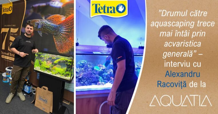 interviu cu Alexandru Racoviță de la Aquatia