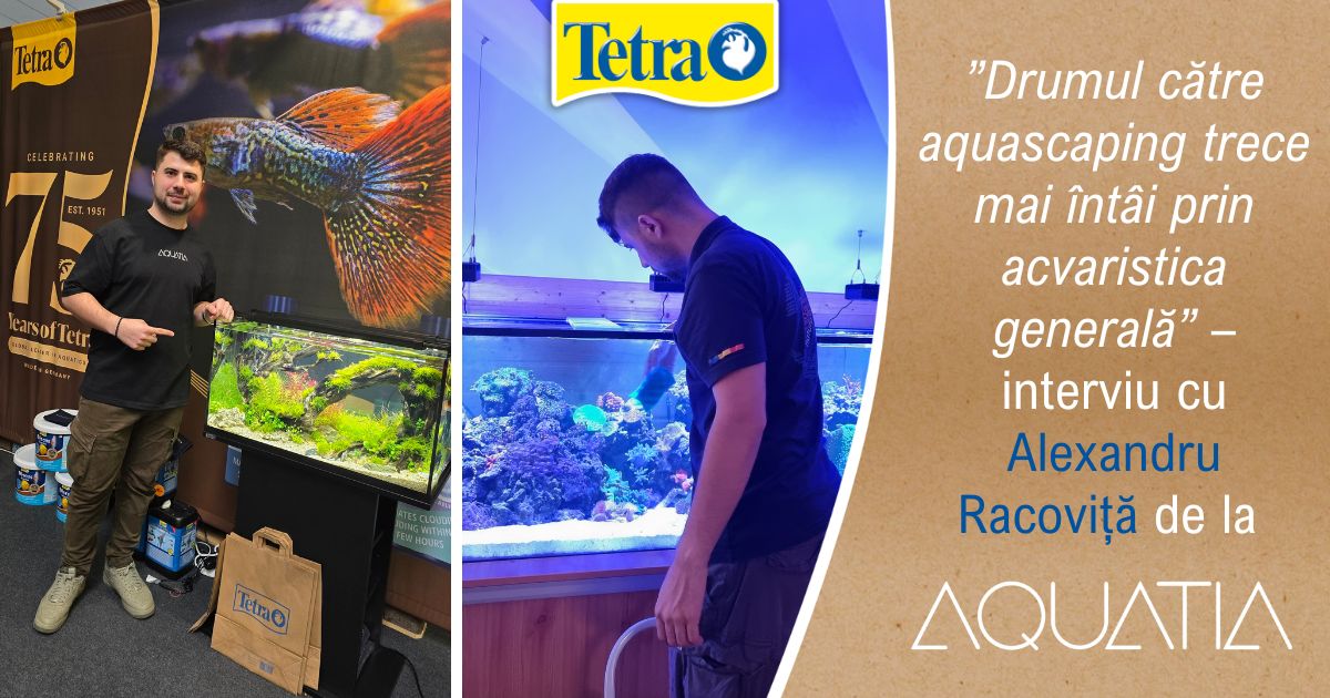 interviu cu Alexandru Racoviță de la Aquatia