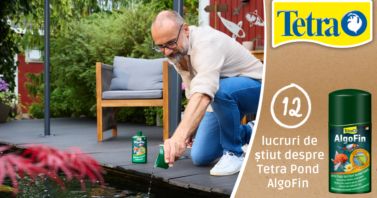 12 lucruri de știut despre Tetra Pond AlgoFin