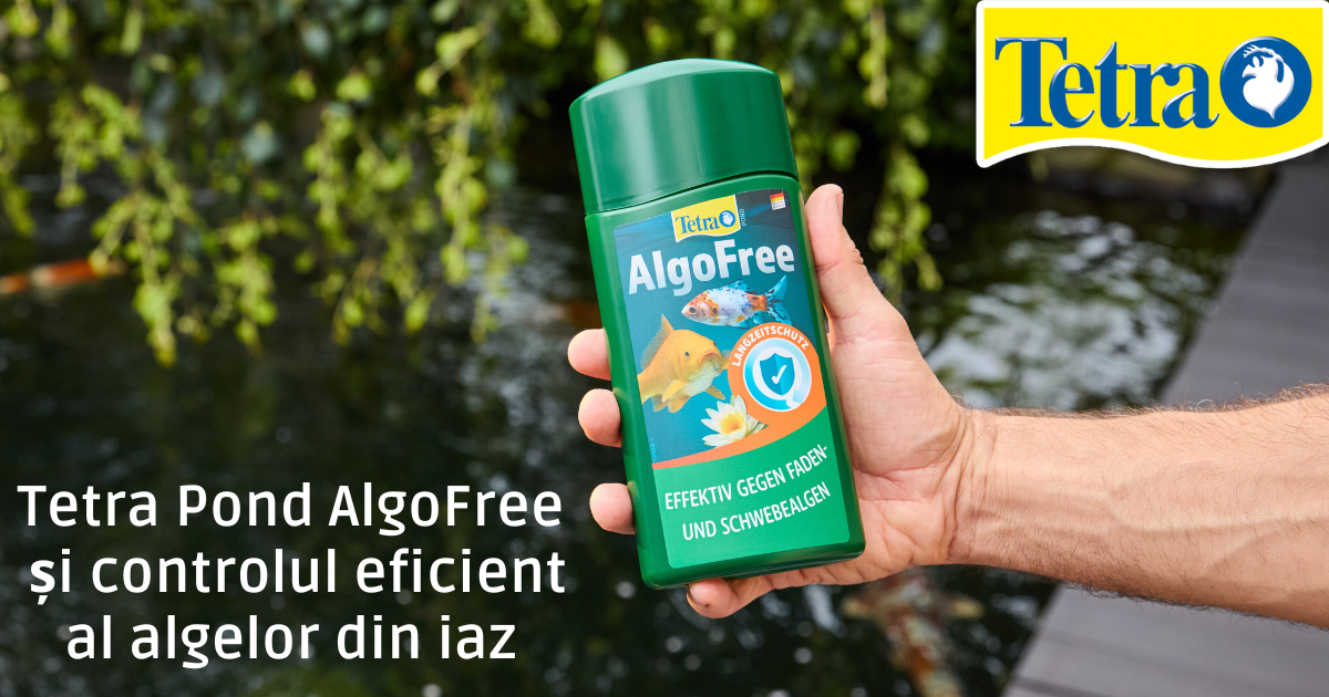 Tetra Pond AlgoFree
