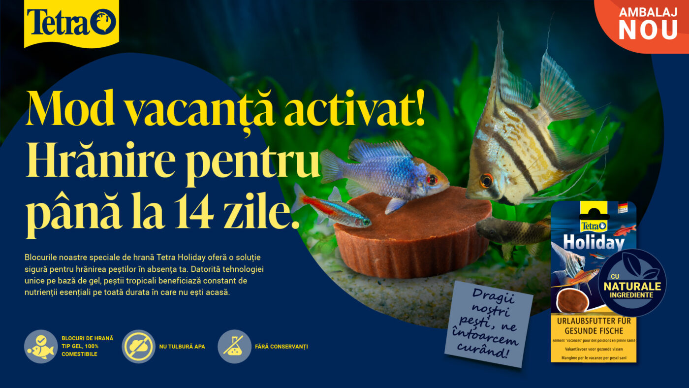 Tetra Holiday