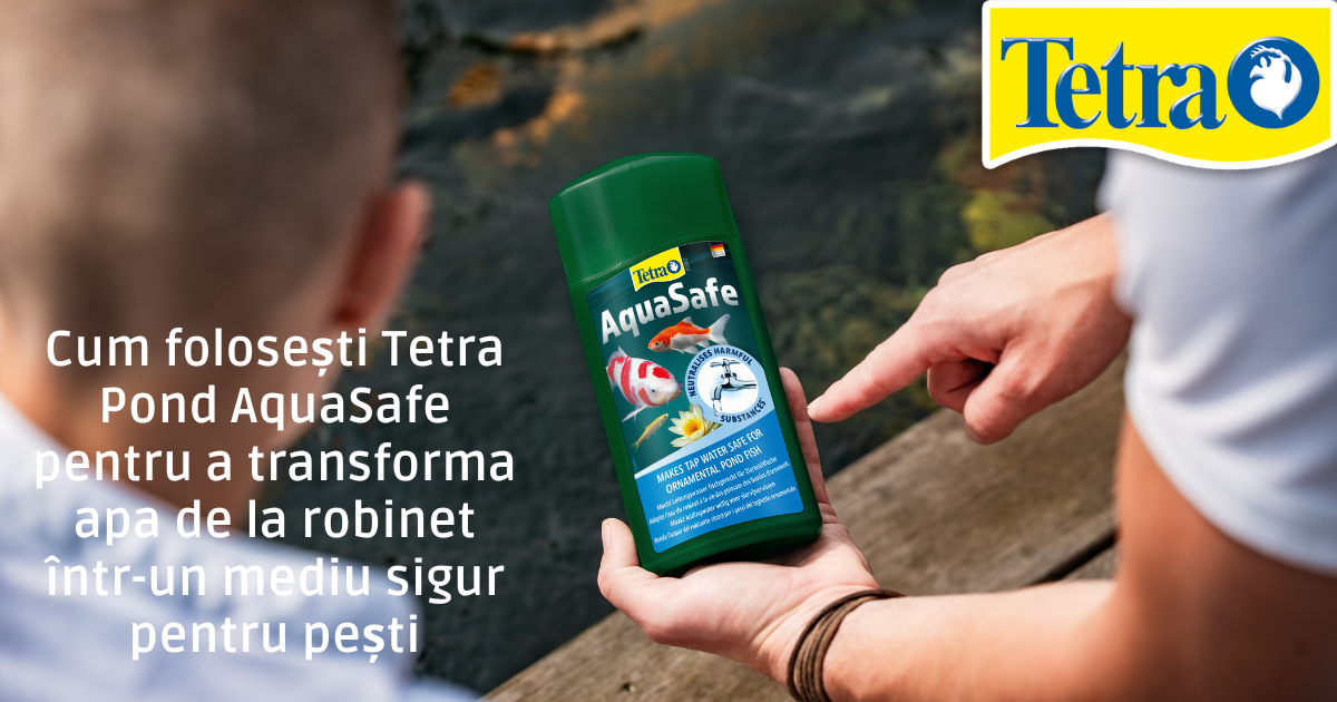 Cum folosești Tetra Pond AquaSafe pentru a transforma apa de la robinet într-un mediu sigur pentru pești