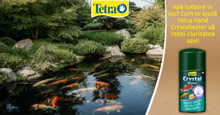 Apă tulbure în iaz? Cum te ajută Tetra Pond CrystalWater să redai claritatea apei