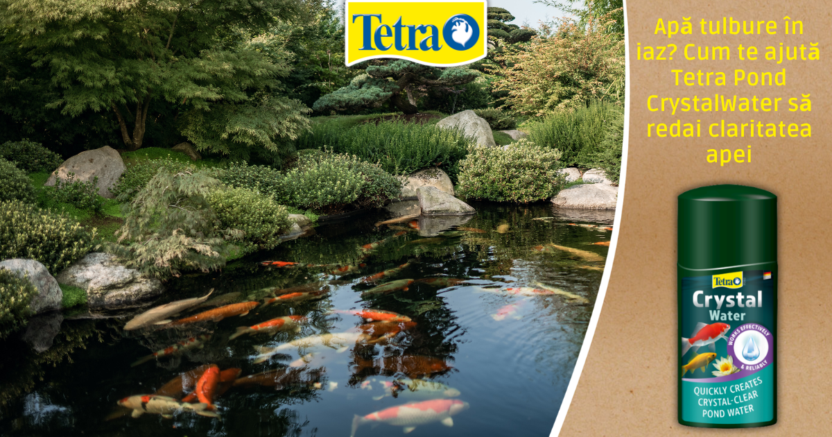 Apă tulbure în iaz? Cum te ajută Tetra Pond CrystalWater să redai claritatea apei