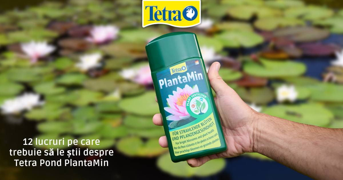 12 lucruri pe care trebuie să le știi despre Tetra Pond PlantaMin