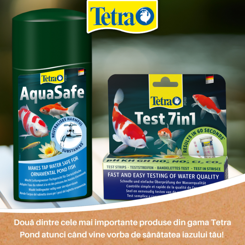 Cum folosești Tetra Pond AquaSafe pentru a transforma apa de la robinet într-un mediu sigur pentru pești Cum folosești Tetra Pond AquaSafe pentru a transforma apa de la robinet într-un mediu sigur pentru pești