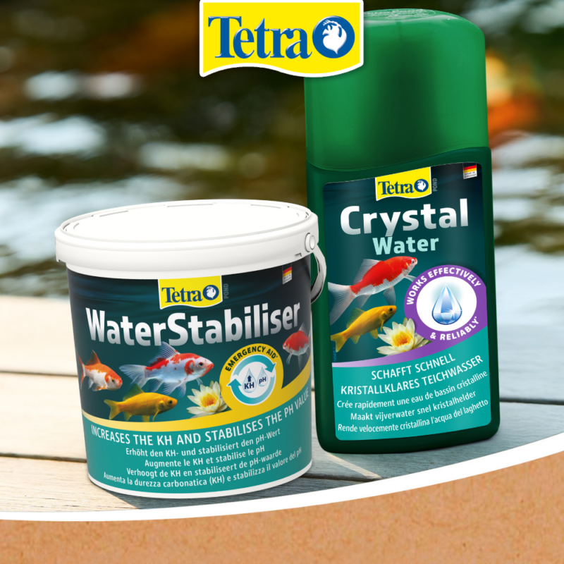 Apă tulbure în iaz? Cum te ajută Tetra Pond CrystalWater să redai claritatea apei Apă tulbure în iaz? Cum te ajută Tetra Pond CrystalWater să redai claritatea apei