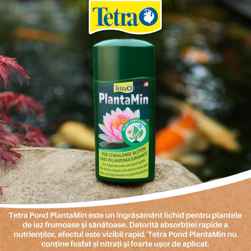 12 lucruri pe care trebuie să le știi despre Tetra Pond PlantaMin