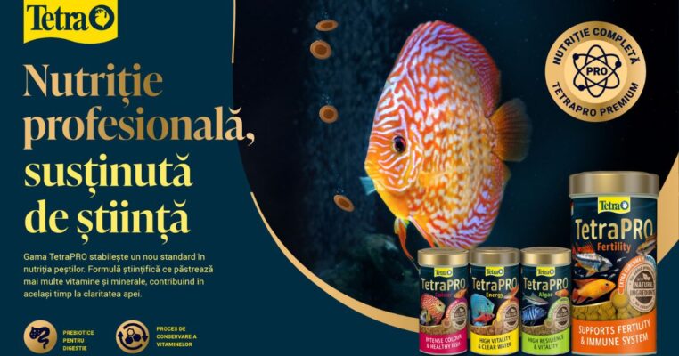 Tot ce trebuie să știi despre gama TetraPRO – hrană premium pentru pești sănătoși și plini de vitalitate