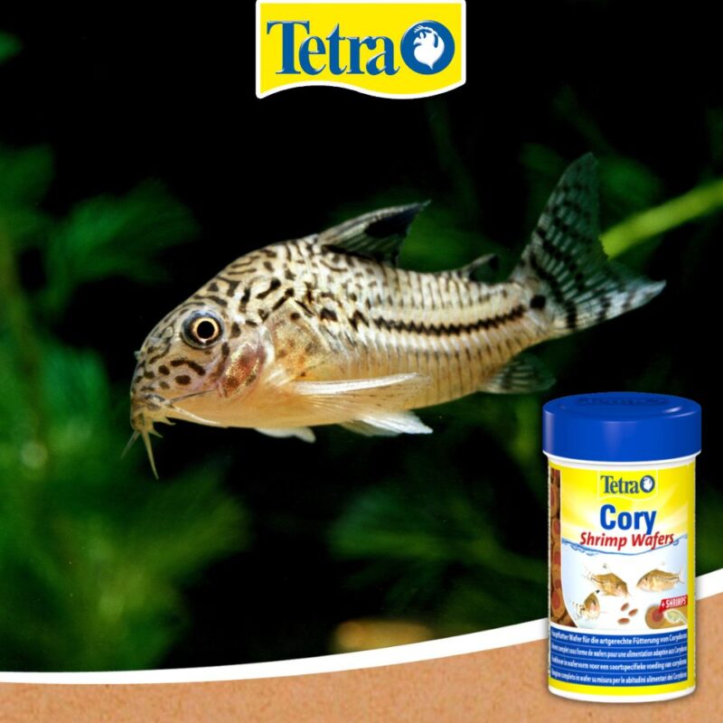 Tetra Coty Wafers