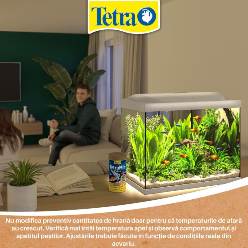 Hrănirea peștilor vara