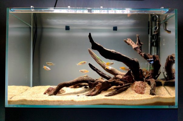 akvarium-obemom-180-litrov-s-raduzhnicami