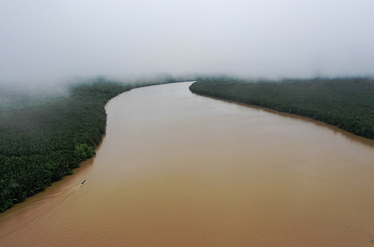 Темные воды реки Раджанг на острове Борнео