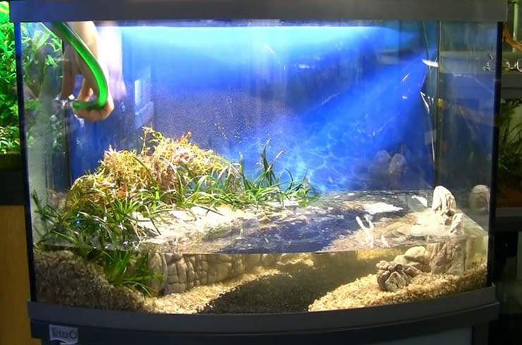 Добавляем воду в аквариум