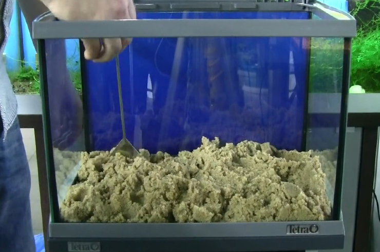 На дно аквариума помещается песчаный грунт