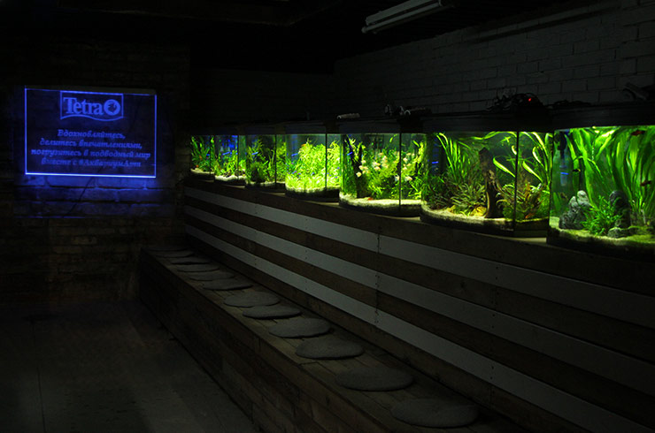 Галерея аквариумов Tetra в «Аптекарском огороде»
