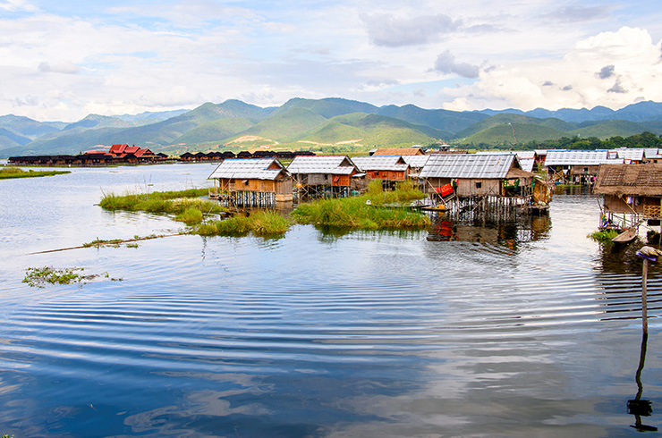 Озеро Инле (Бирма) – единственный водоем, где обитает савбва