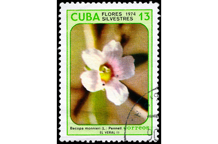 Почтовая марка с изображением бакопы Монье. Куба, 1974 г.