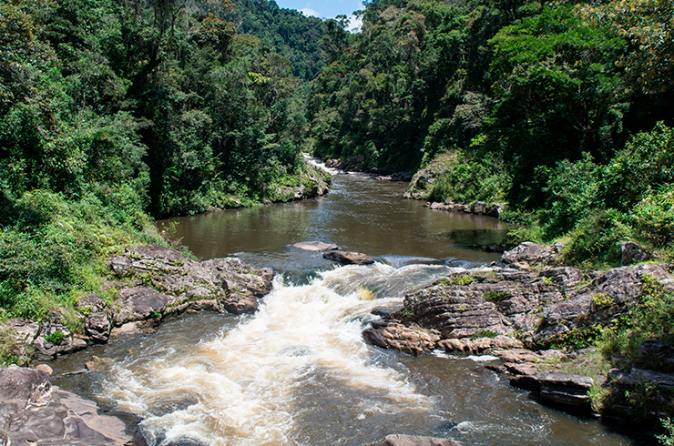 Река София (Мадагаскар) – типичное местообитание парэтроплюса менарамбо