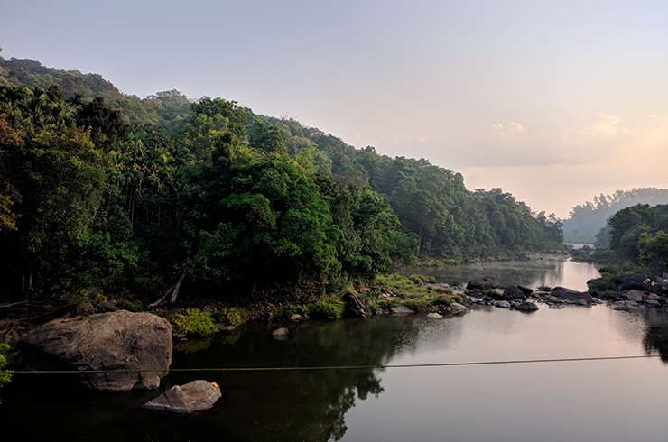 Река Тунга в Индии - одно из мест обитания боции зебра