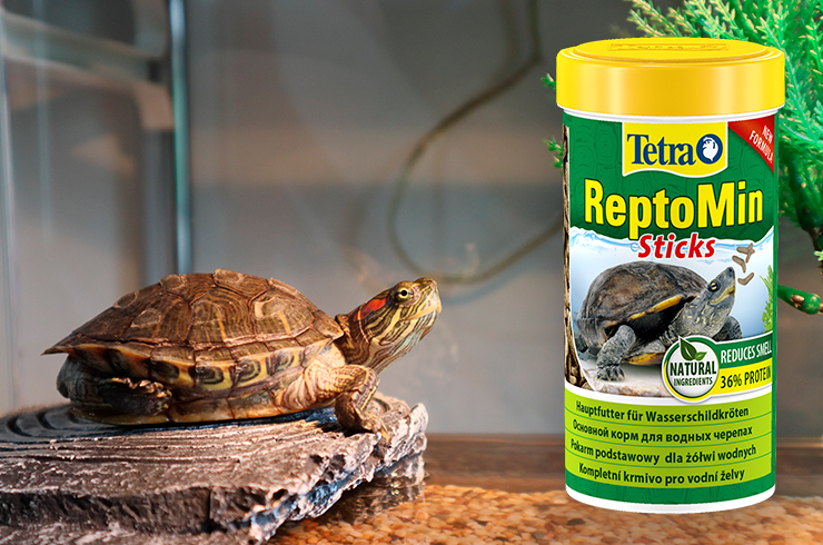 Корм Tetra ReptoMin Sticks – полнорационный корм для взрослых красноухих черепах
