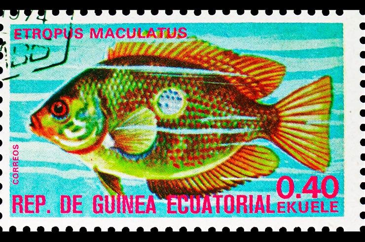 Марка с изображением этроплюса пятнистого. Экваториальная Гвинея, 1975 г.
